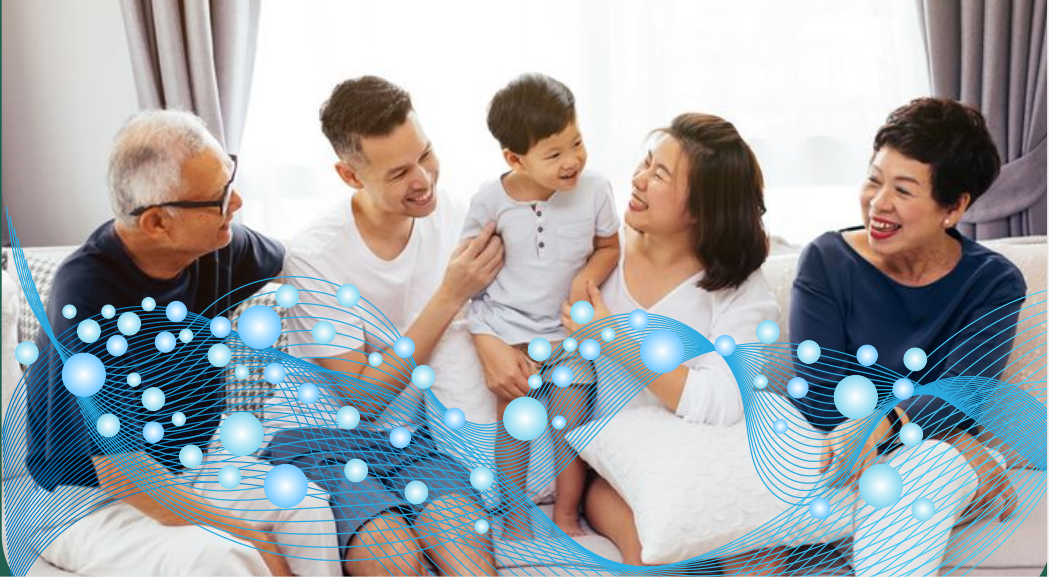 NEGATIVE ION
        GENERATOR