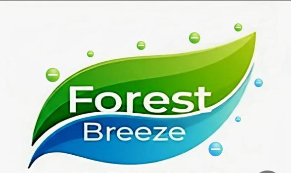 NEGATIVE
        ION GENERATOR